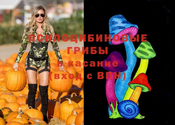 круглые Аркадак