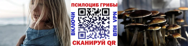 Псилоцибиновые грибы Psilocybe  Брянск 